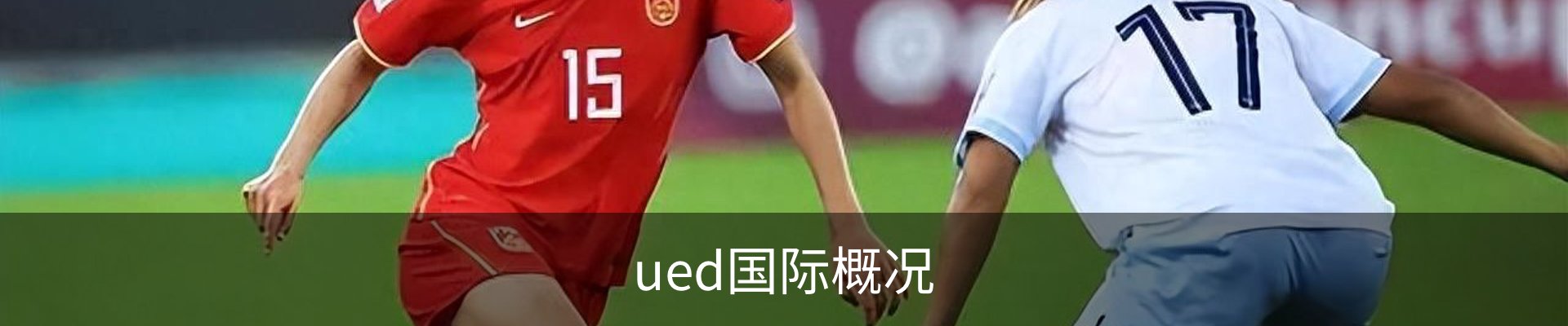 ued国际概况